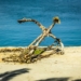 Retired Anchor in the Harbour of Koroni