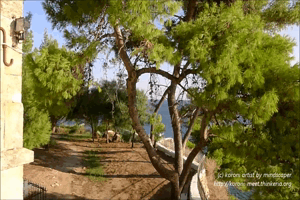 Eleistria Park - Koroni 360° Rotation