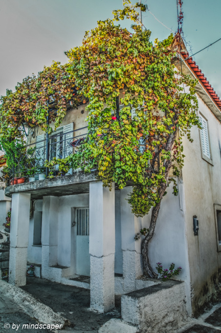 House Corner - Vasilitsi