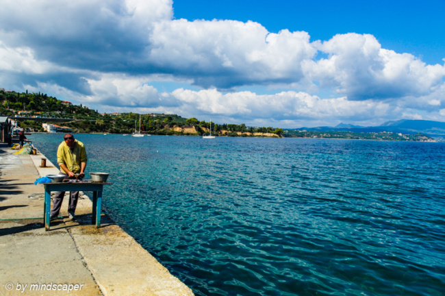 Koroni Harbour life