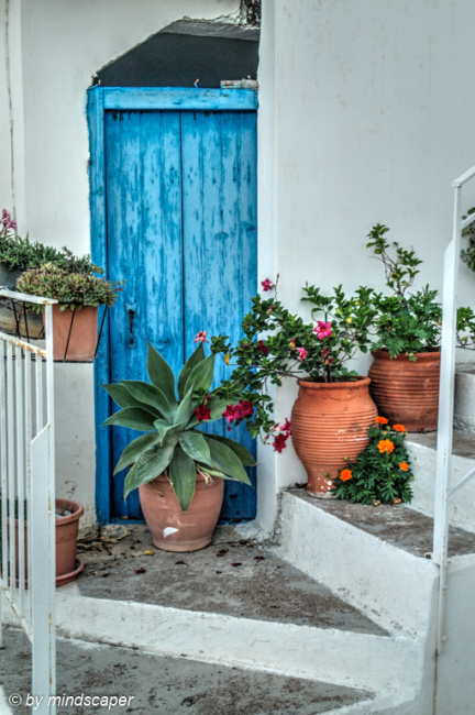 Blue Door Still Life - Vasilitsi