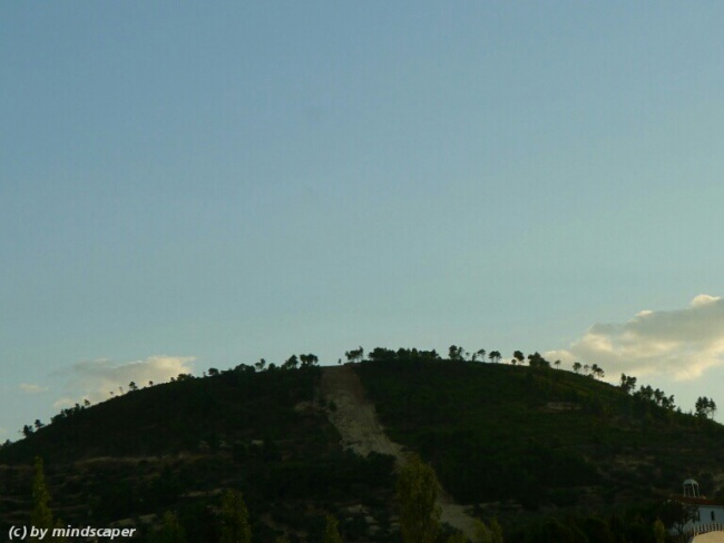 treed hill skyline