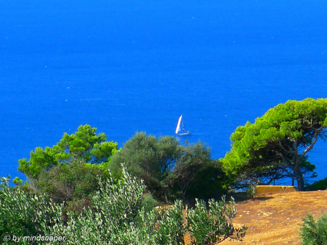 selitsa-west-coast
